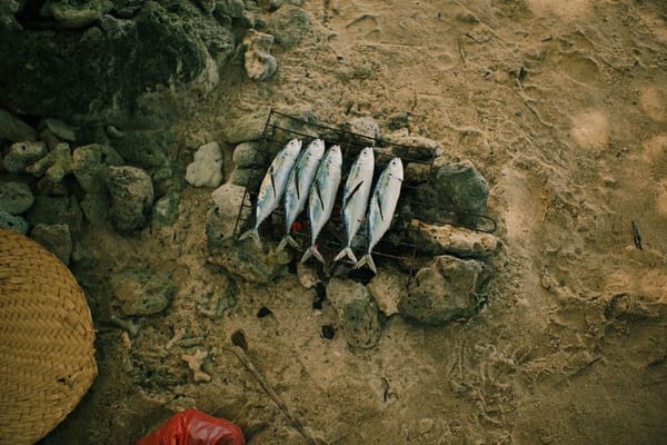 Sardinas a la plancha sin que la casa huela una semana