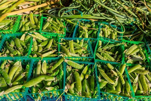 Guisantes frescos: el lujo breve de la primavera