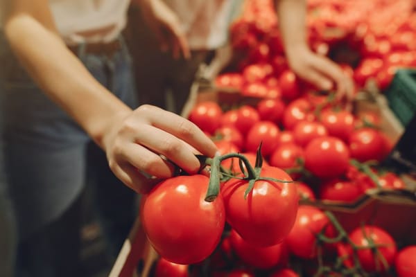 Tomate de junio: cómo elegirlo (y qué hacer con el que sabe a agua)