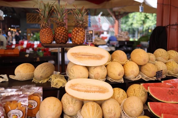 Melón de Villaconejos en agosto: cómo distinguir el auténtico del híbrido (y por qué no tiene Denominación de Origen)